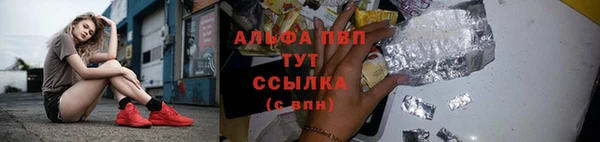 стаф Заводоуковск
