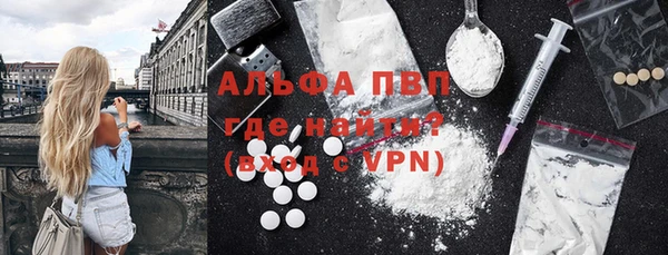 стаф Заводоуковск