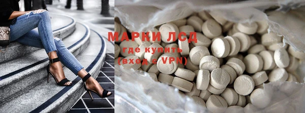стаф Заводоуковск
