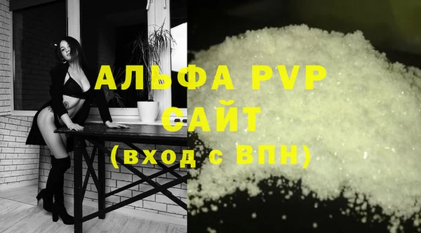 стаф Заводоуковск
